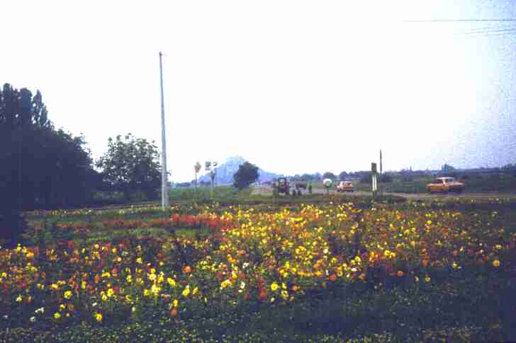 064.jpg