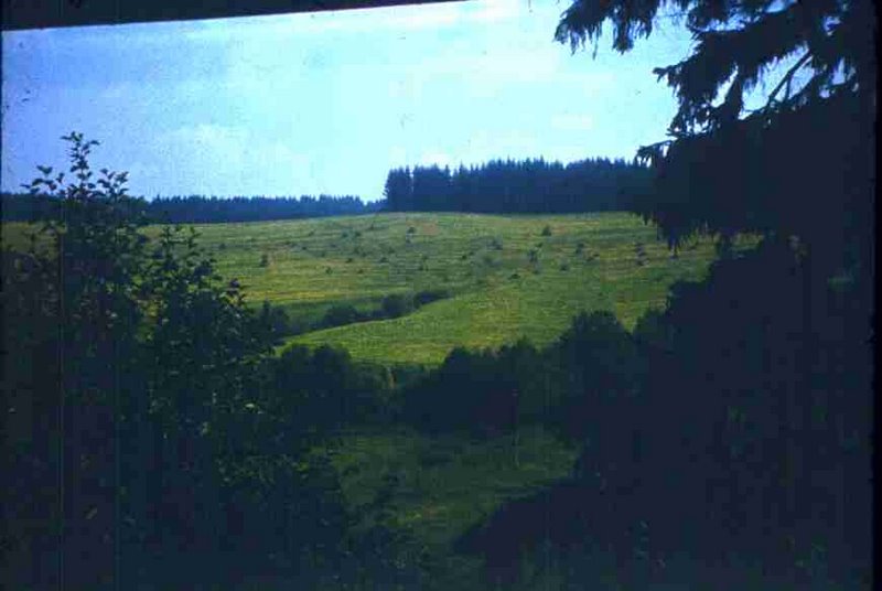 119-1.jpg