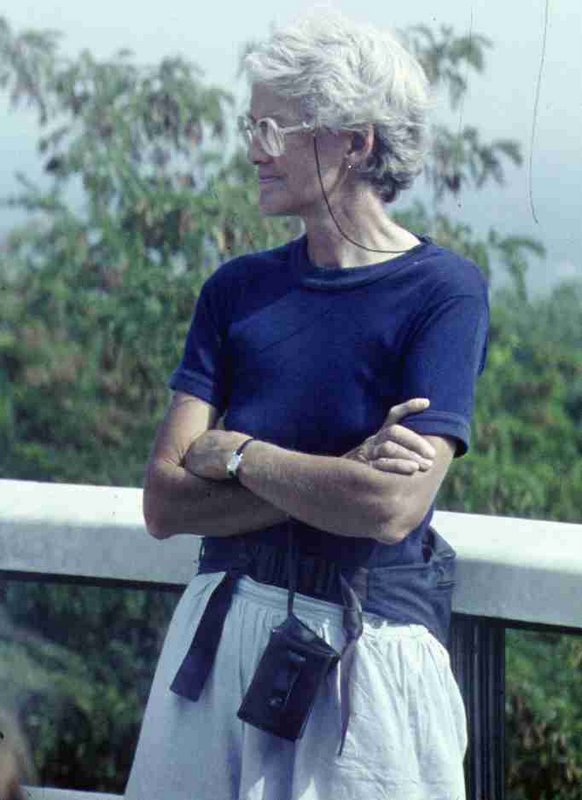 169.jpg