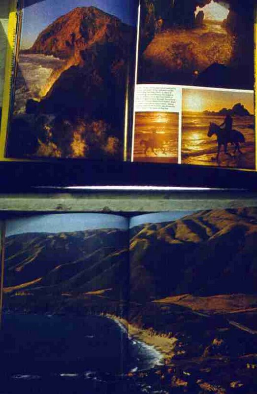 178.jpg
