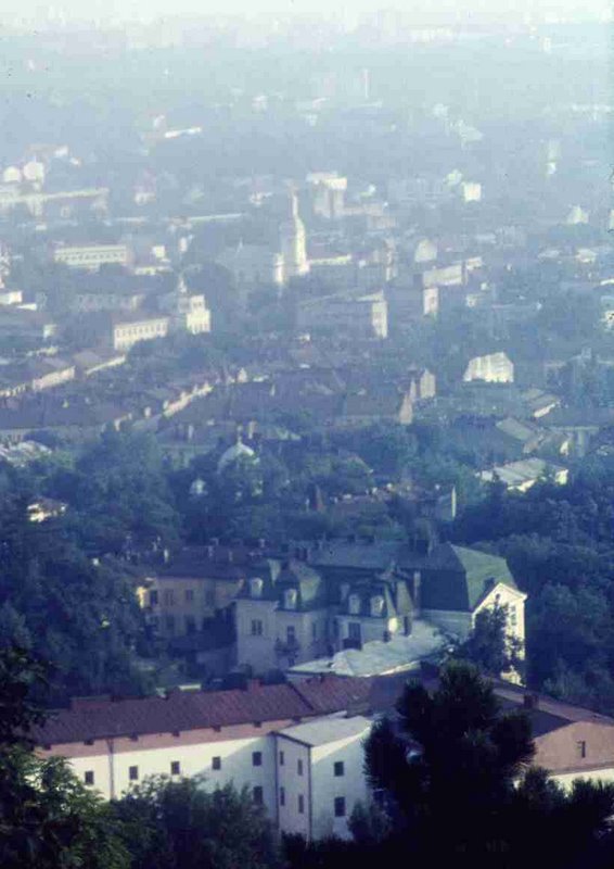 196.jpg