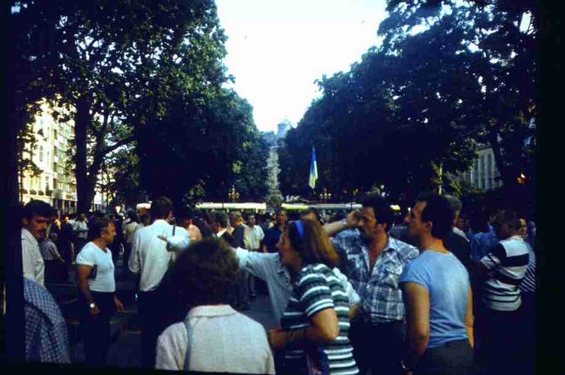 221.jpg