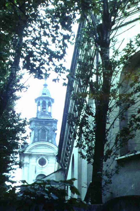 223.jpg