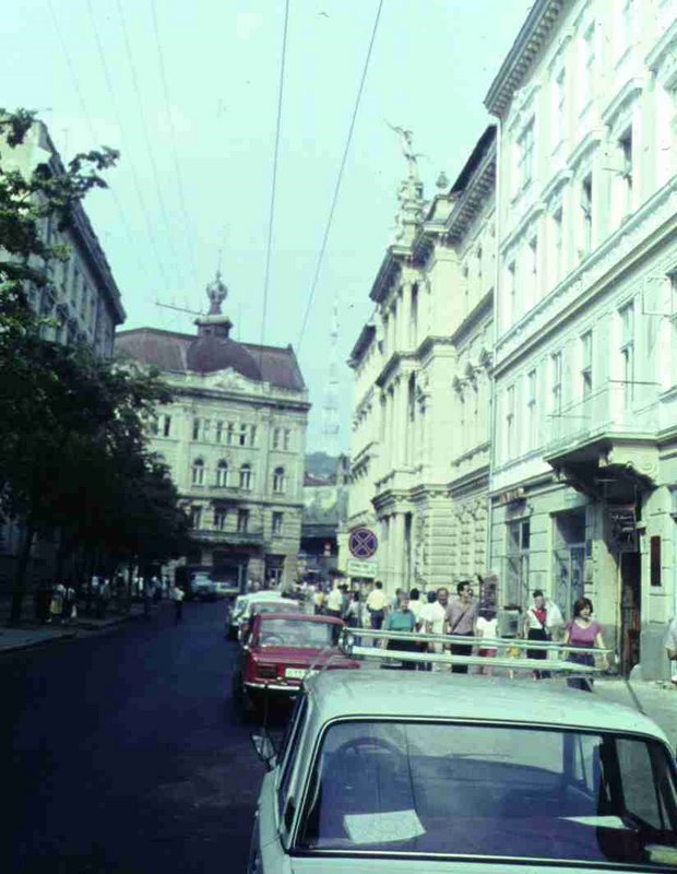 228.jpg