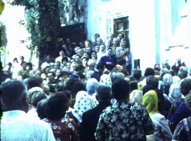231-1.jpg