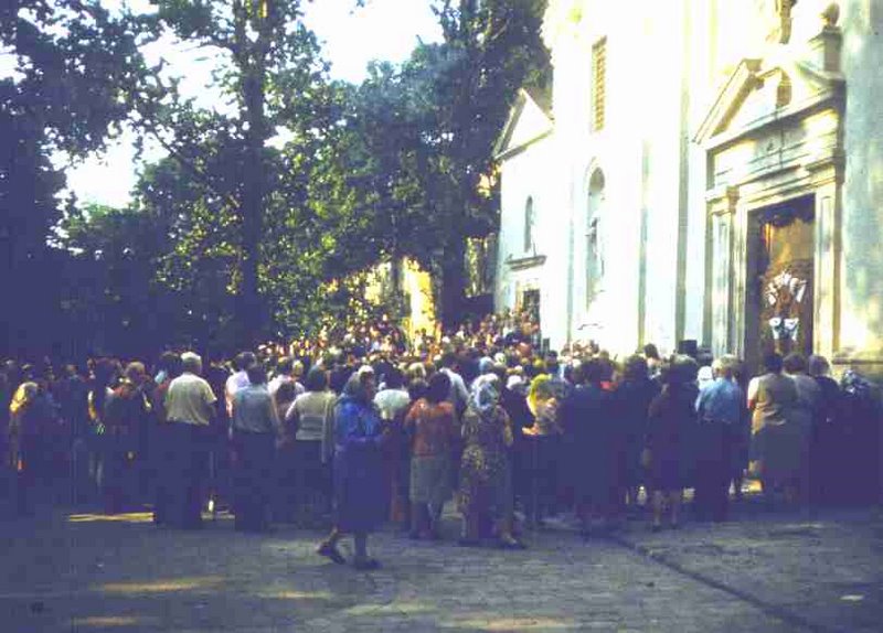 231.jpg