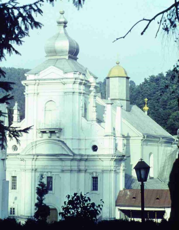286.jpg
