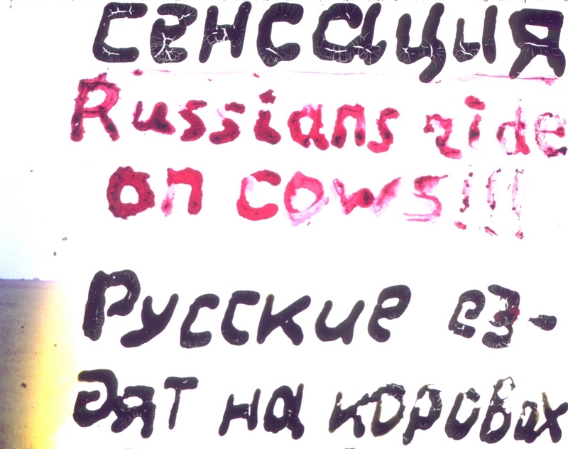 316.jpg