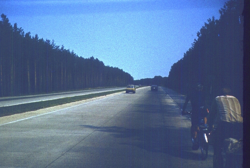 337.jpg