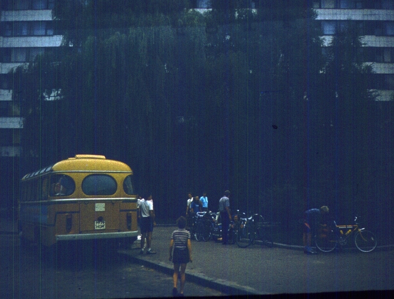 339.jpg