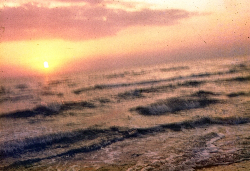 359.jpg