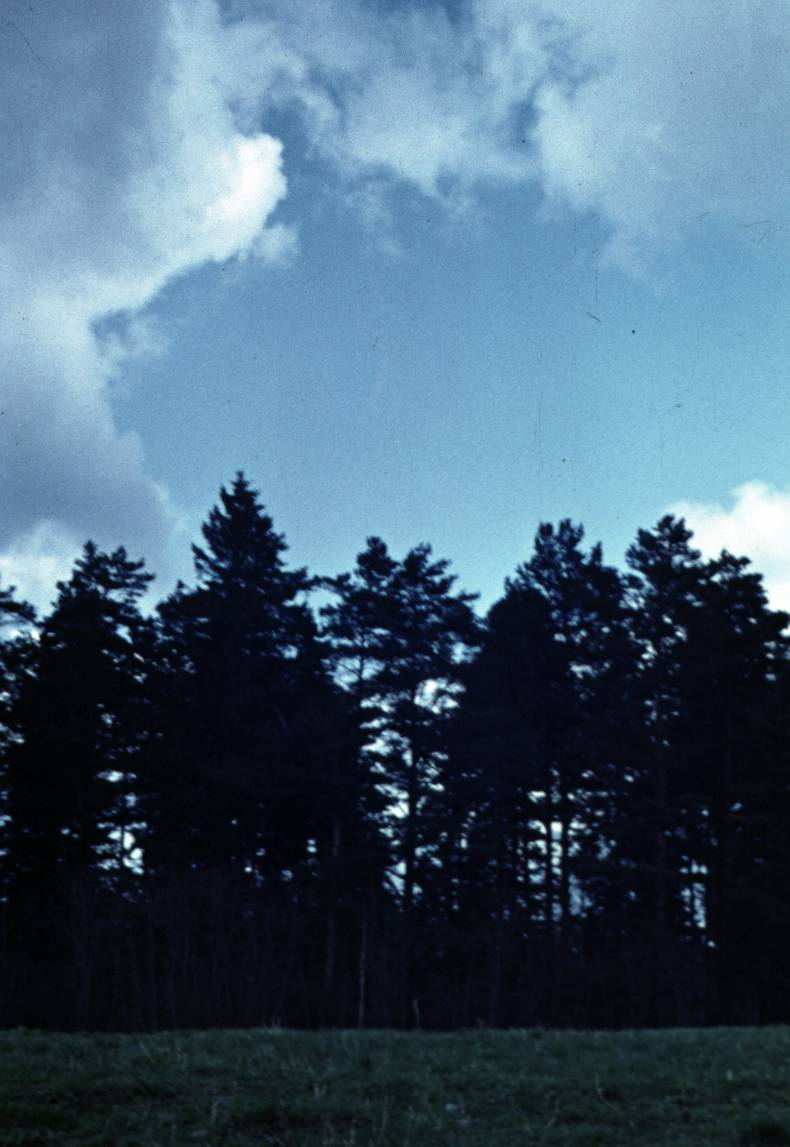 061.JPG