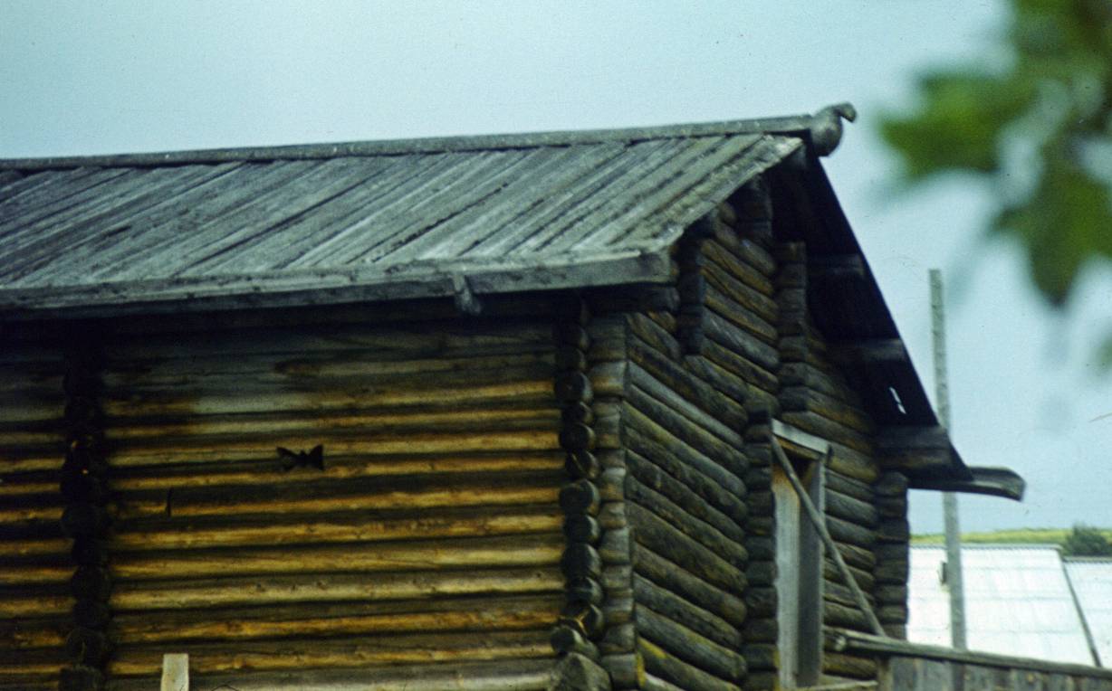 139.JPG