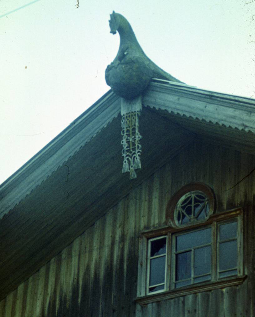 145.JPG