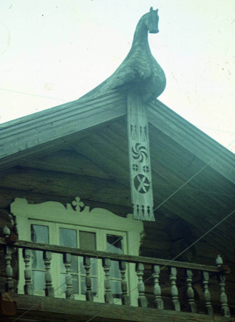 154.JPG