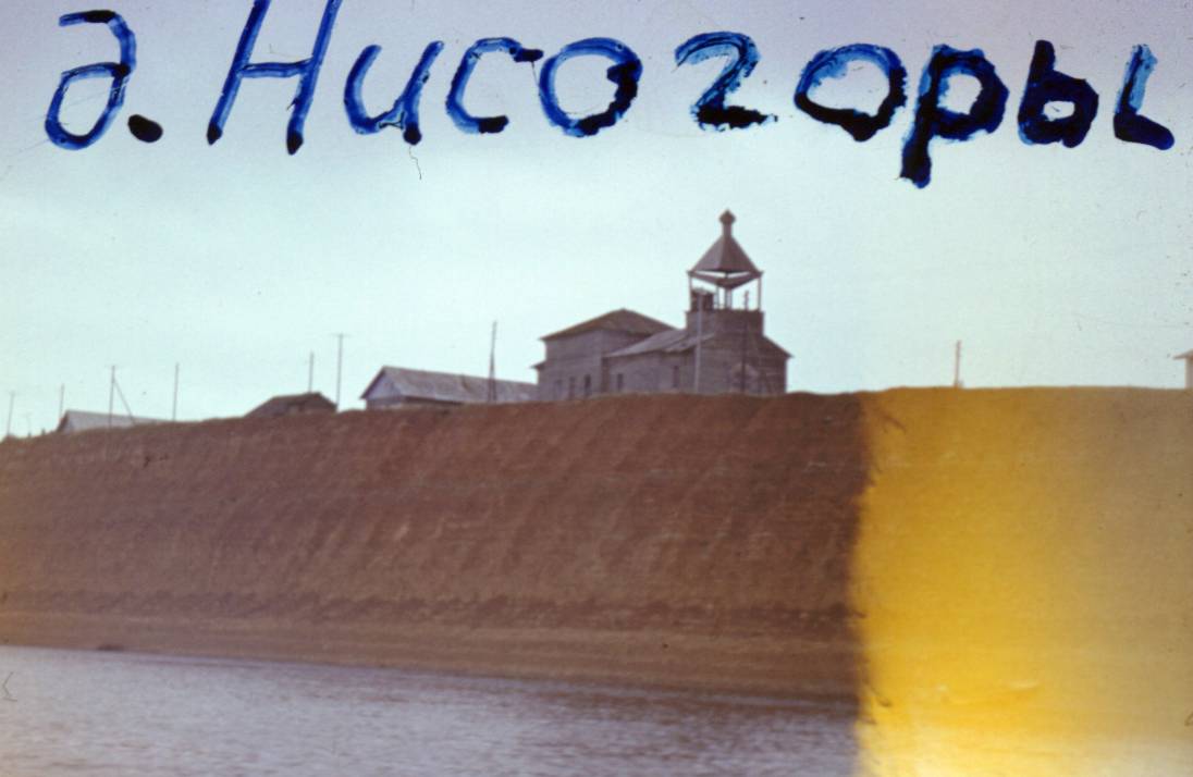 231.JPG