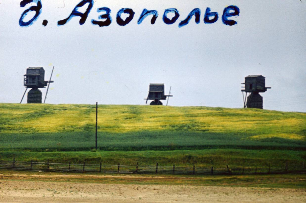 233.JPG