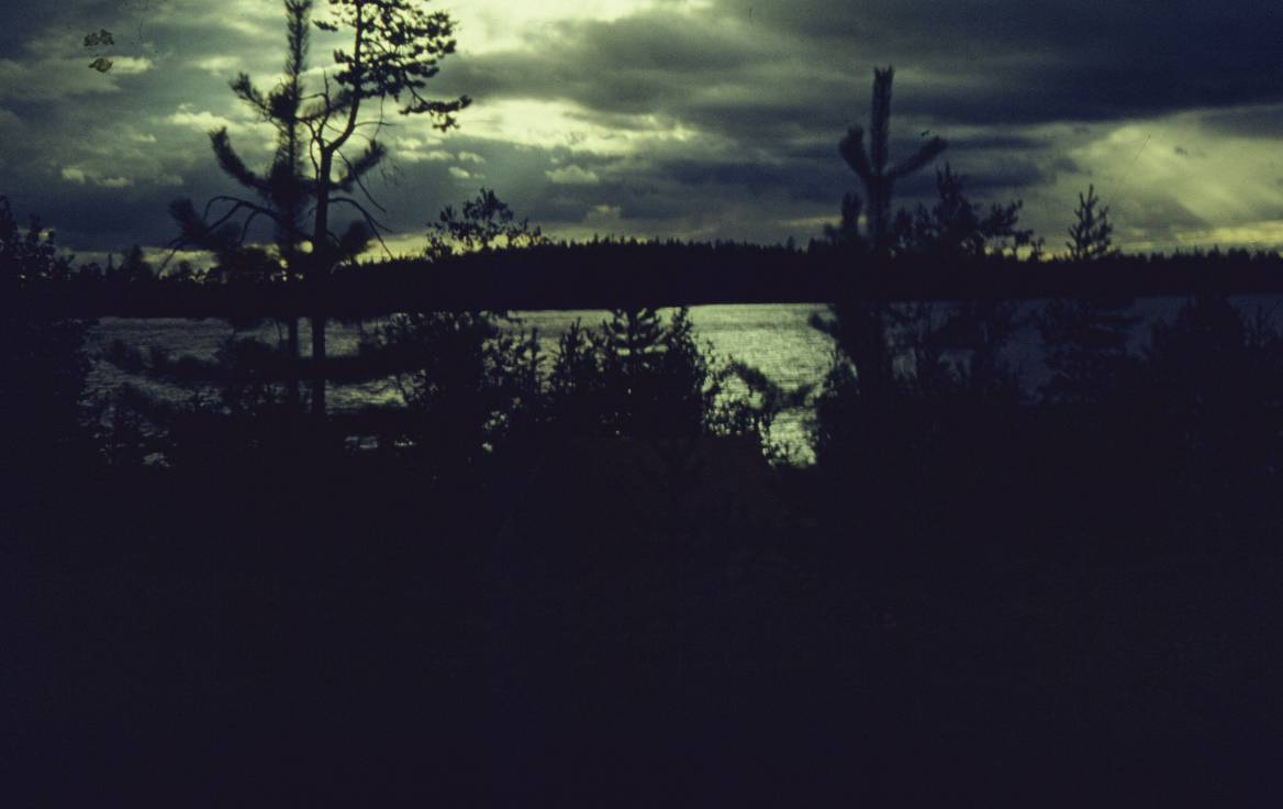 248.JPG