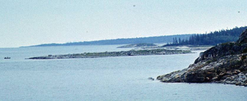 251a.JPG