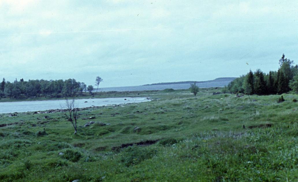 258a.JPG