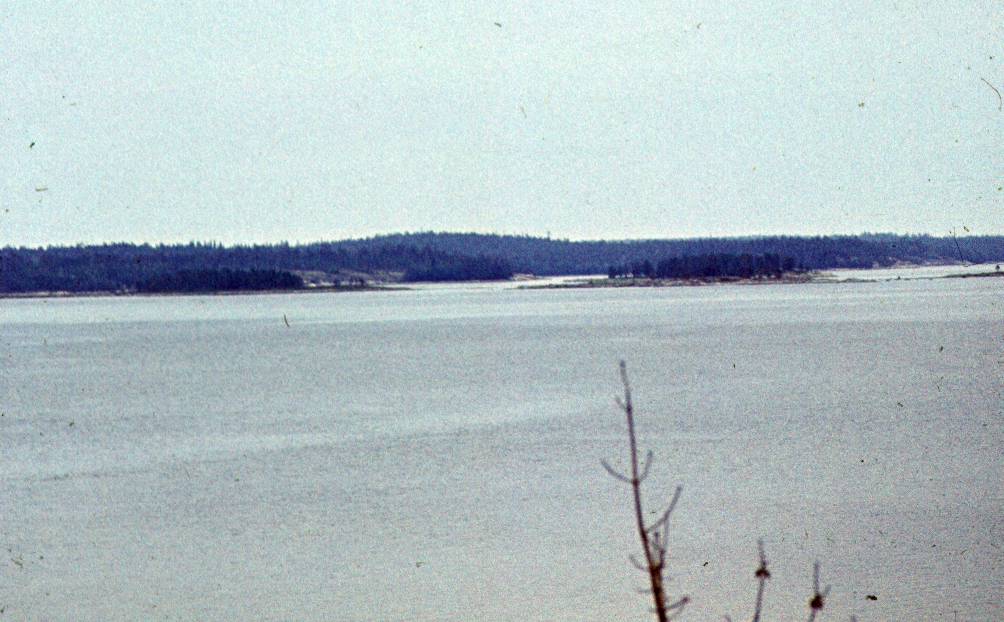 266.JPG