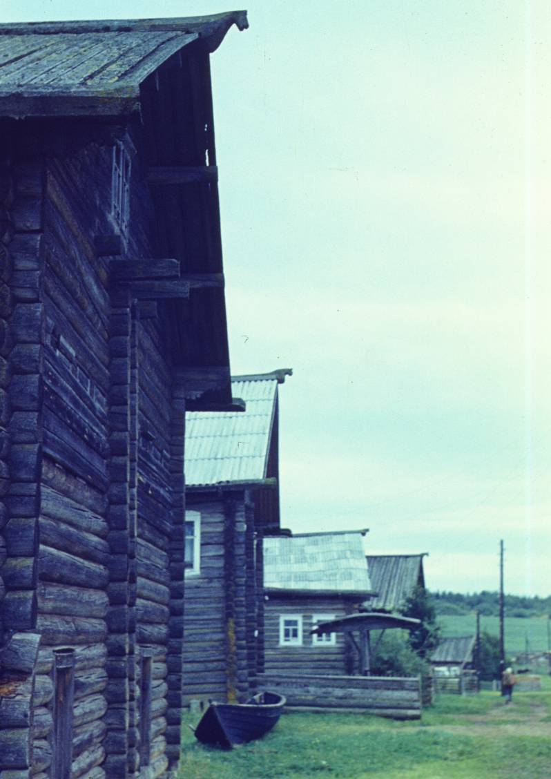 290.JPG