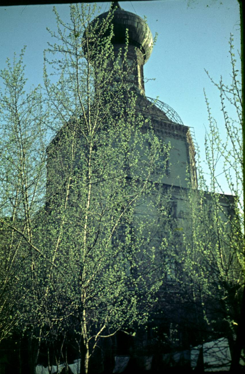 439.JPG