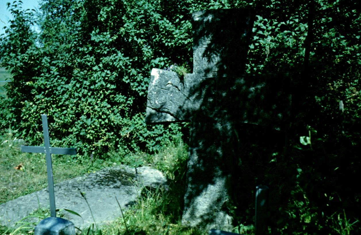 008.JPG