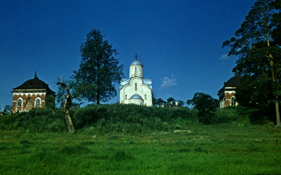 041.JPG