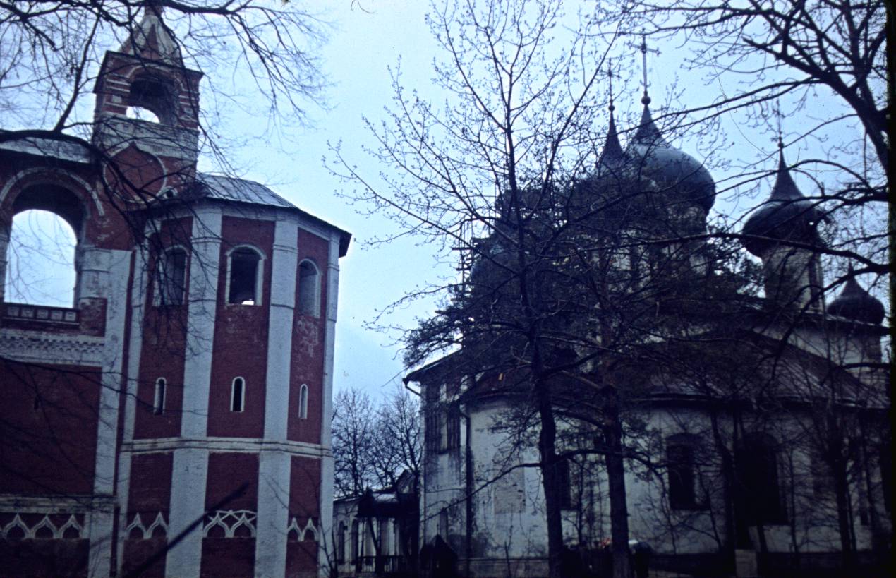 145.JPG