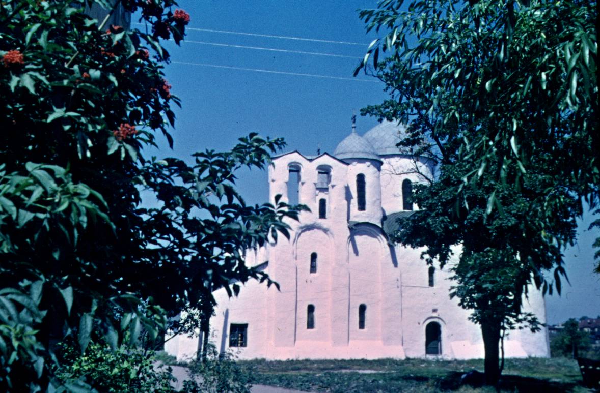 010.JPG