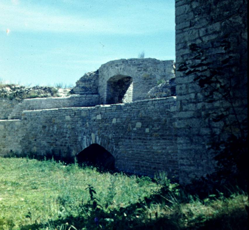 045.JPG