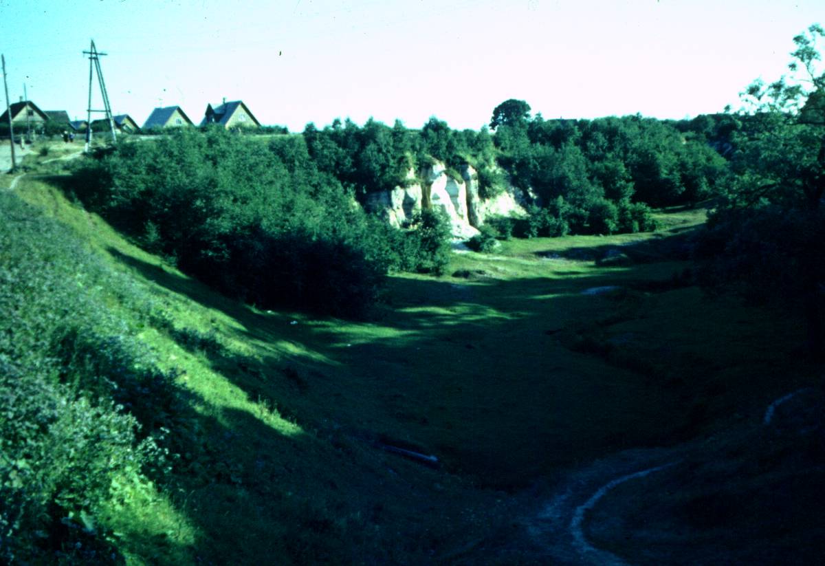 050.JPG