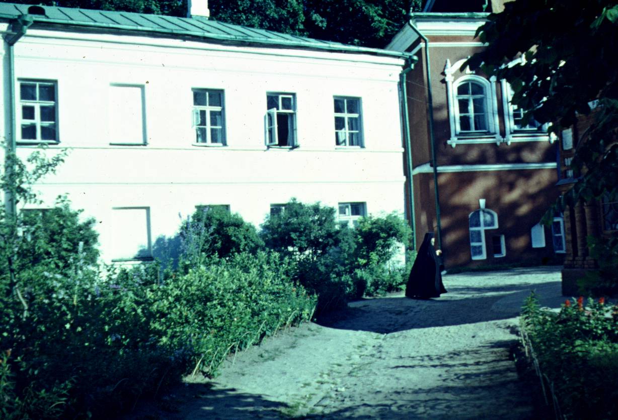 052.JPG