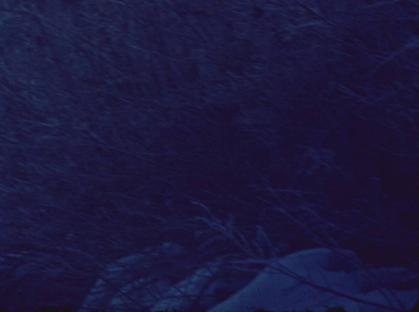 009.JPG