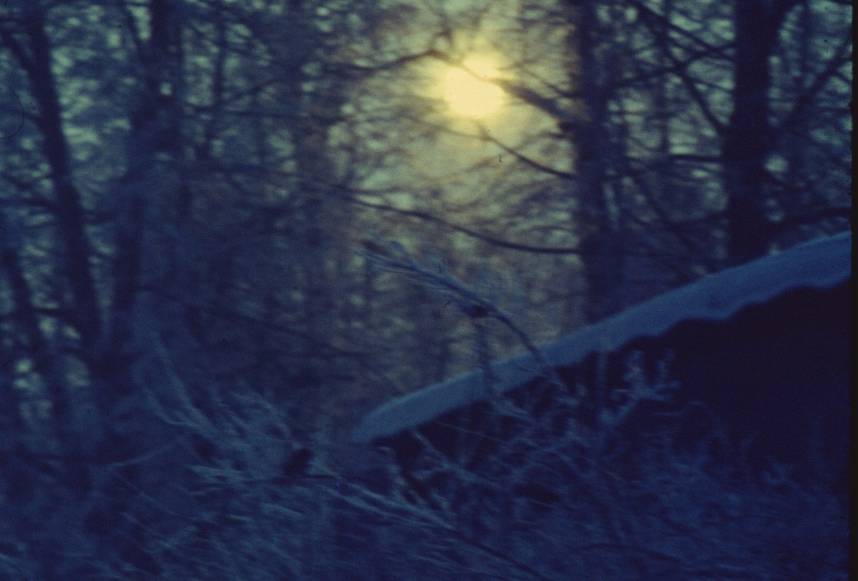 010.JPG
