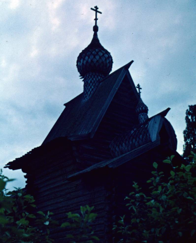 031.JPG