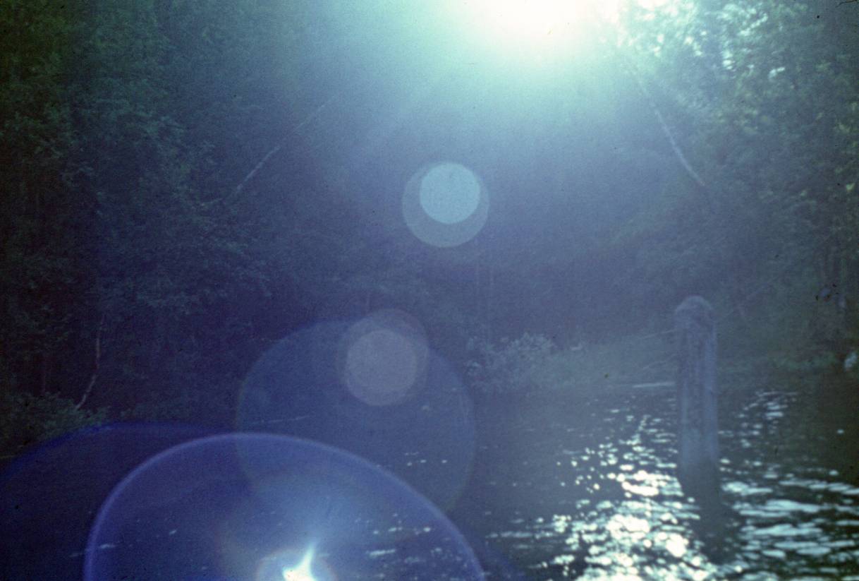 033.JPG