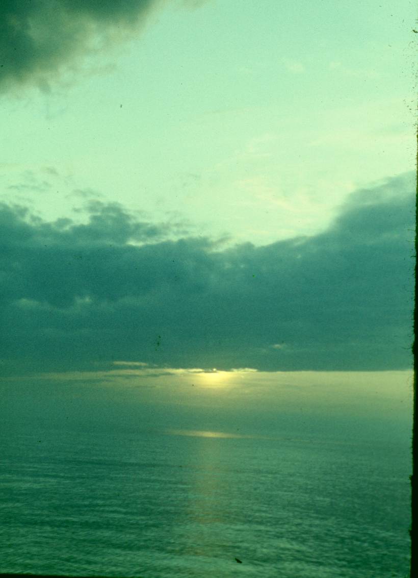 038.JPG