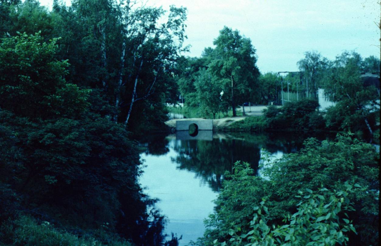 031.JPG