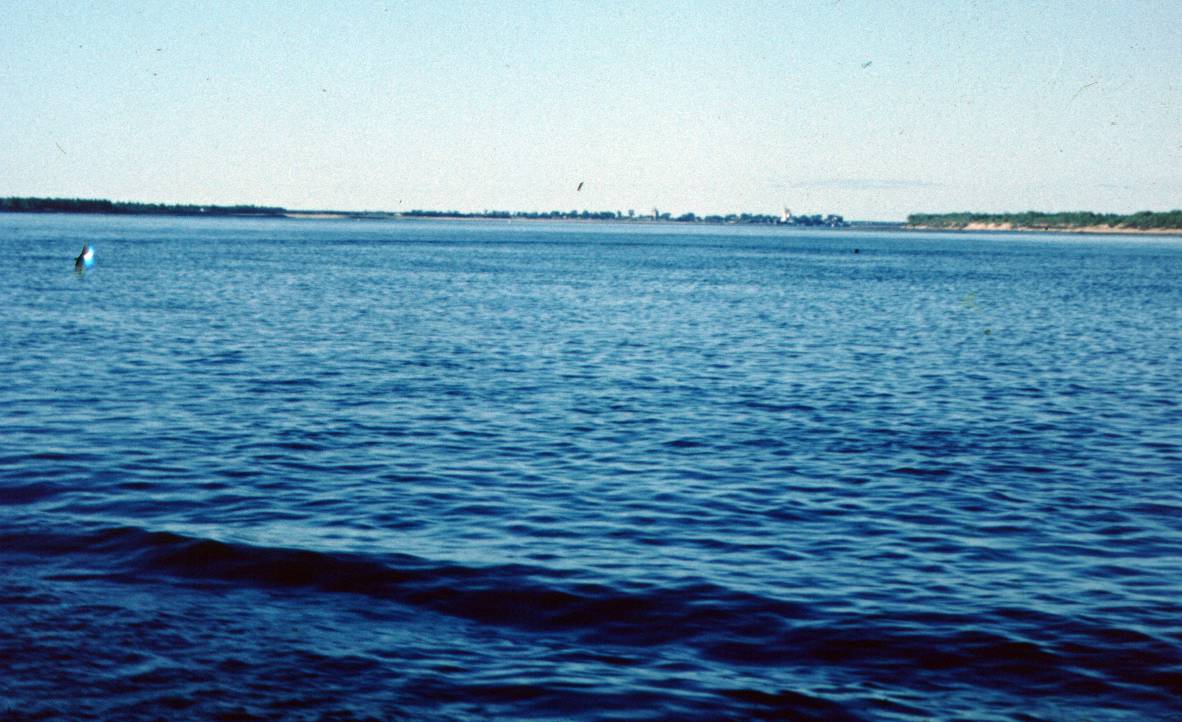 104.JPG