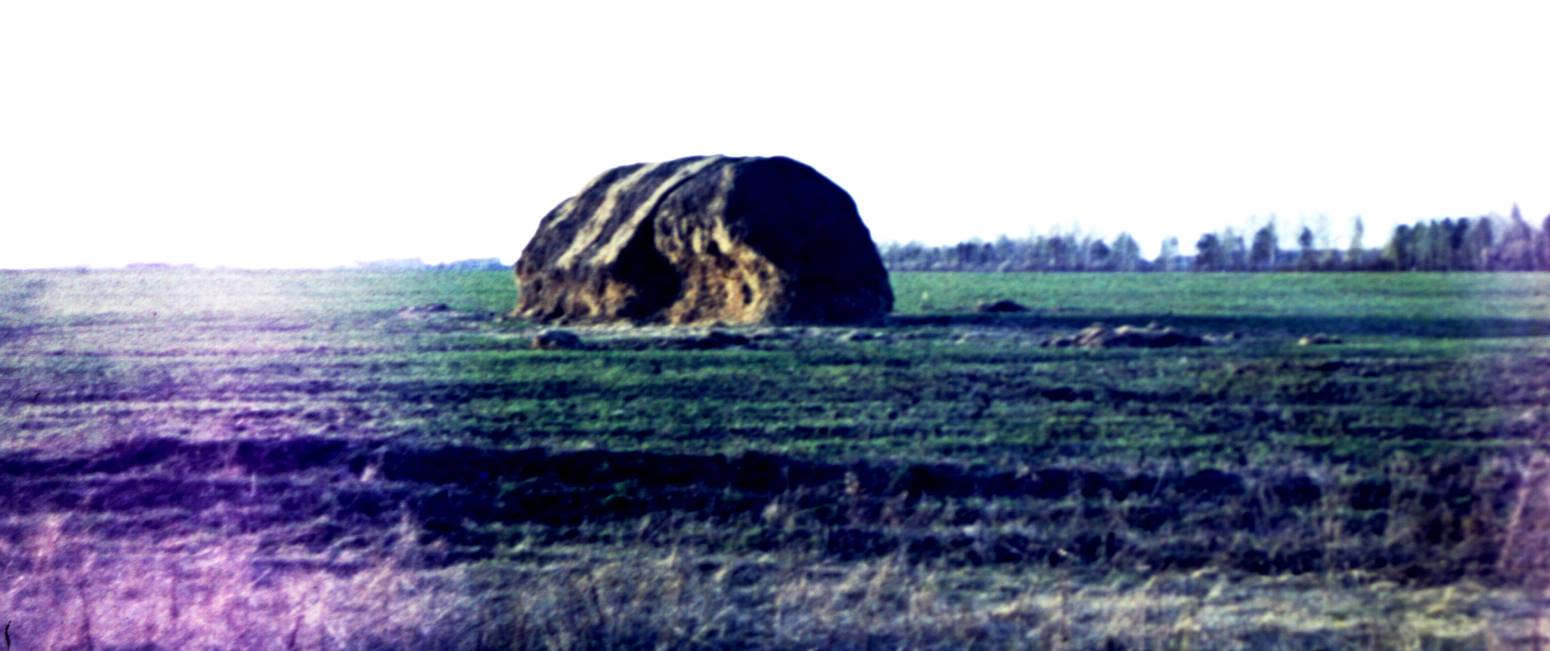 108.JPG
