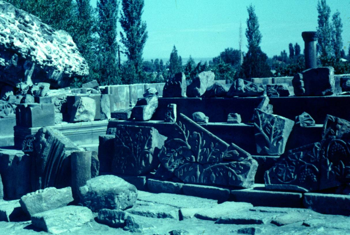 021.JPG