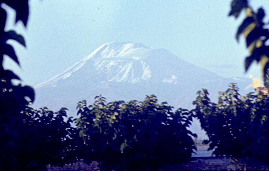 104.JPG