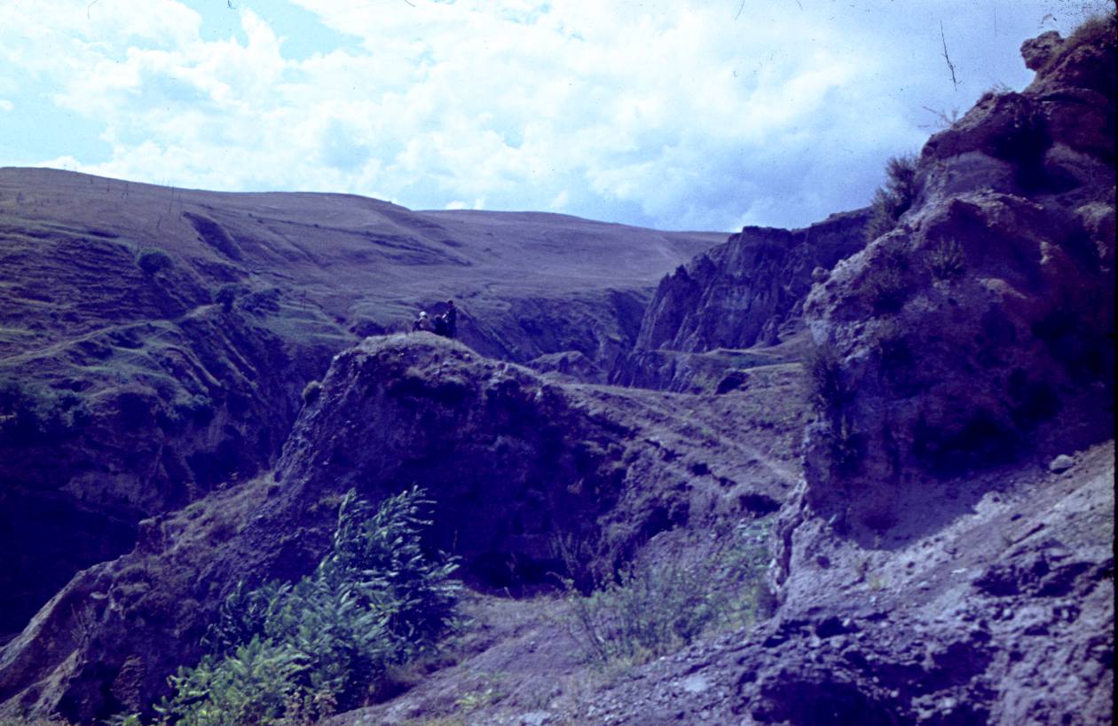106.JPG