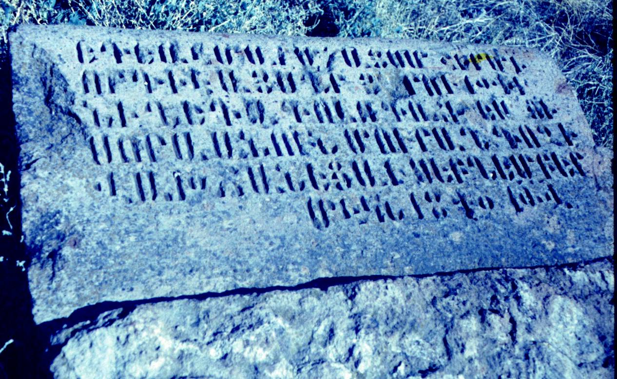169.JPG