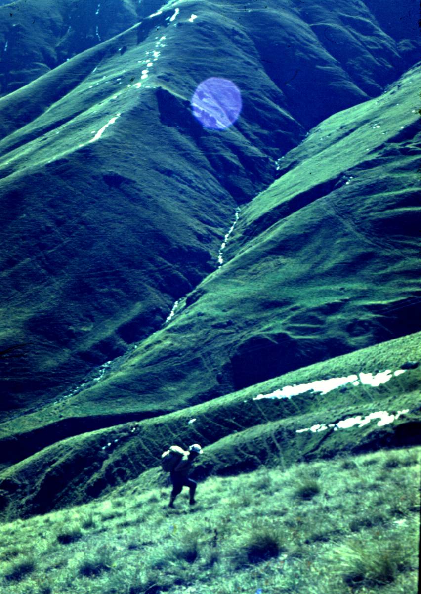 185.JPG