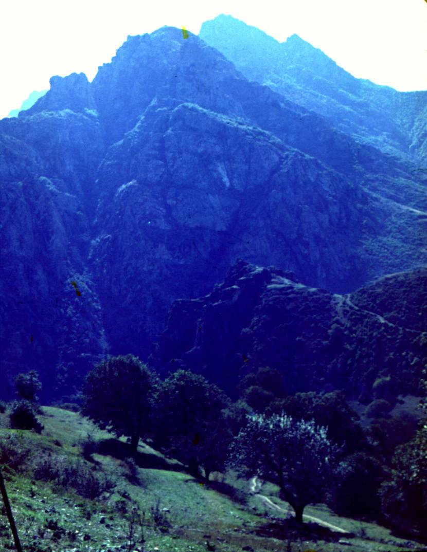 190.JPG