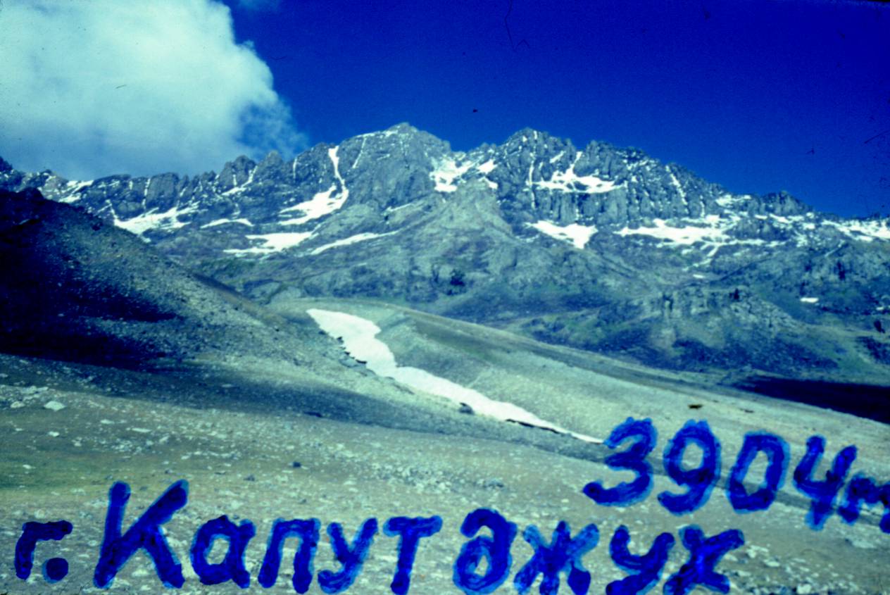 200.JPG