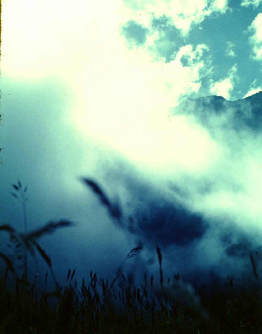 130.JPG